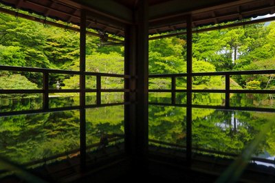 🌿 옛 치쿠린인 정원(규치쿠린인테이엔)